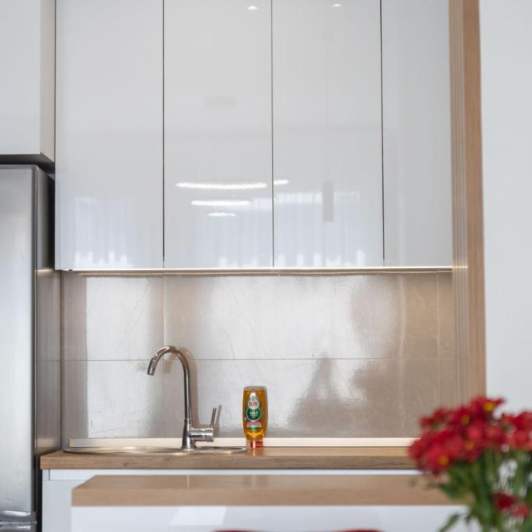 Drobac apartman - Apartman sa 1 Spavaćom Sobom - 20