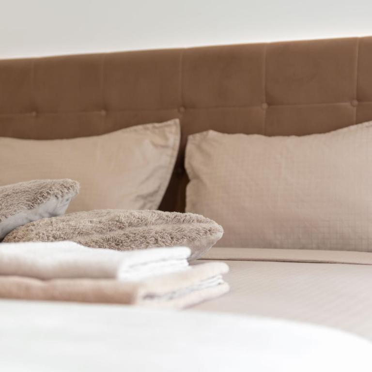 Drobac apartman - Apartman sa 1 Spavaćom Sobom - 28