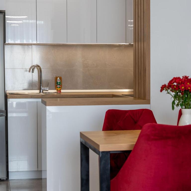 Drobac apartman - Apartman sa 1 Spavaćom Sobom - 15