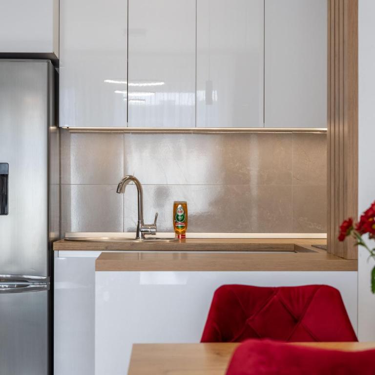 Drobac apartman - Apartman sa 1 Spavaćom Sobom - 12