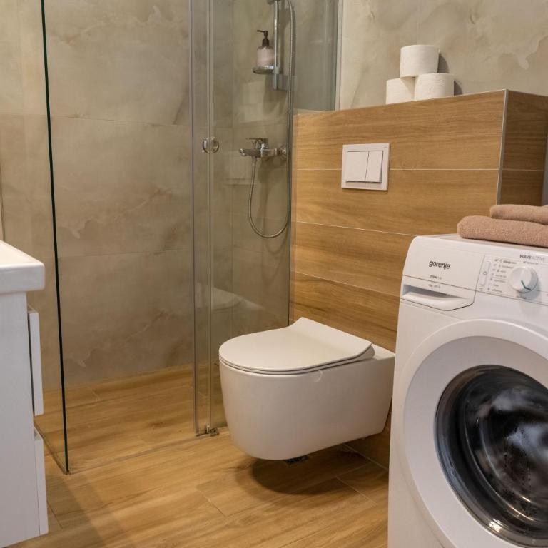 Drobac apartman - Apartman sa 1 Spavaćom Sobom - 19