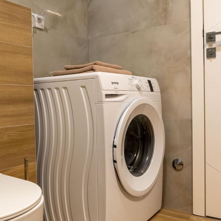 Drobac apartman - Apartman sa 1 Spavaćom Sobom - 32