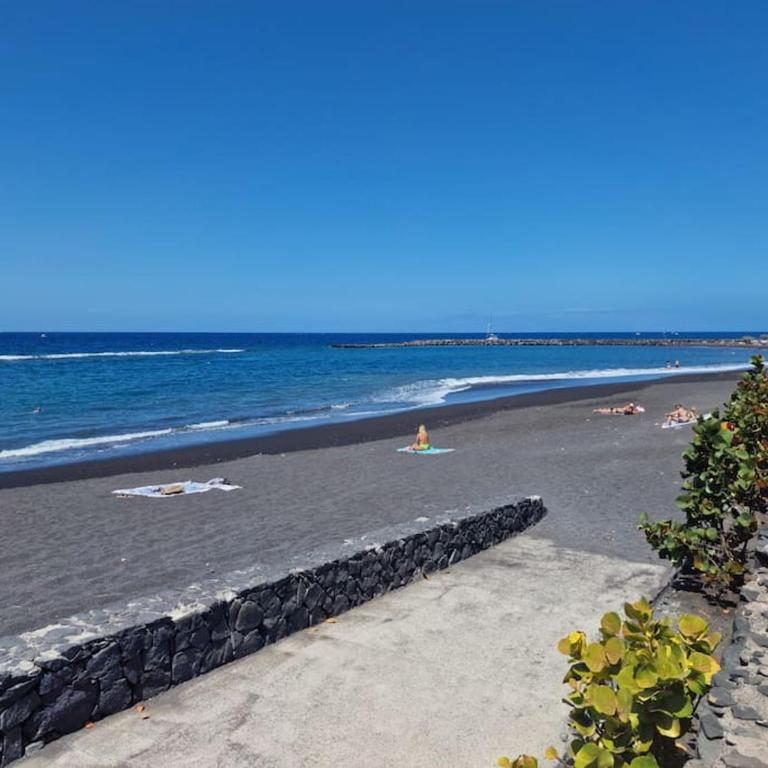 Altamira Paradise - Deluxe One-Bedroom Apartment - 8