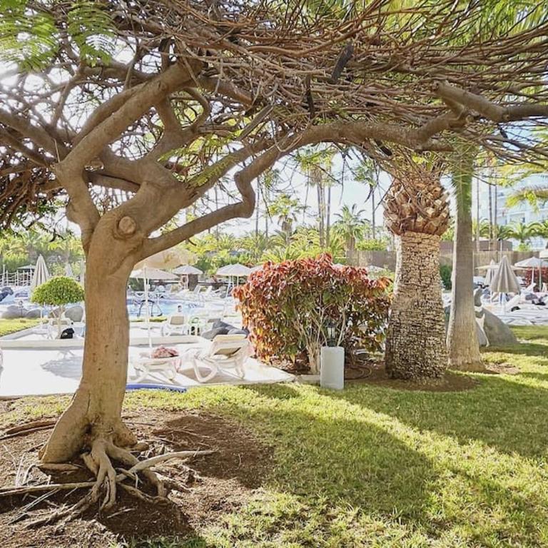 Altamira Paradise - Deluxe One-Bedroom Apartment - 9