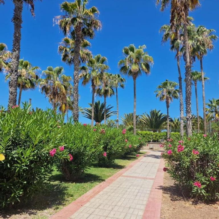 Altamira Paradise - Deluxe One-Bedroom Apartment - 22
