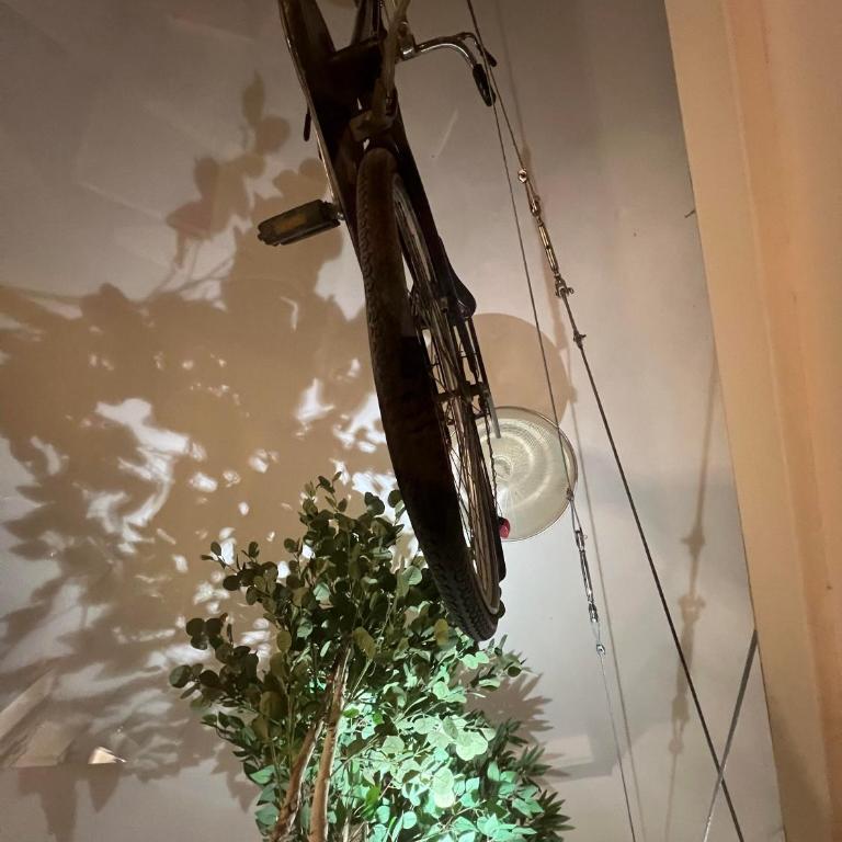 luxury art appartment rome - Casa con 1 Camera da Letto - 6