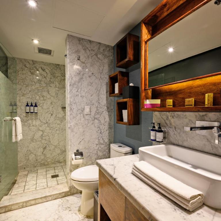 Las Suites Campos Eliseos - Executive Suite - 1