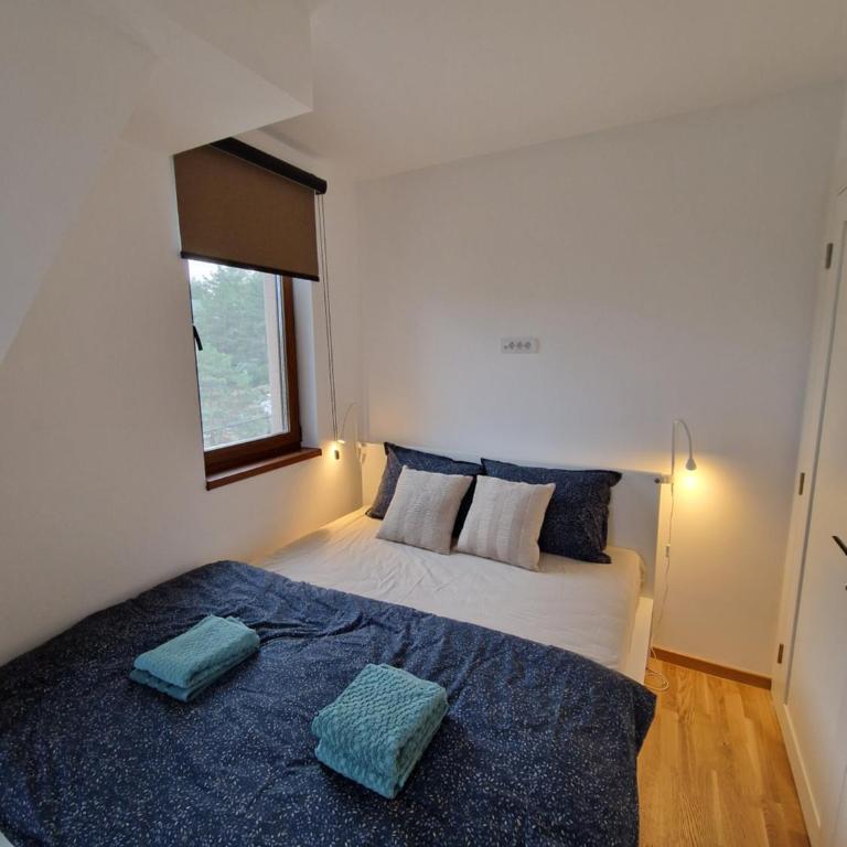 Divcinova - Apartman Gorski - Apartman sa 1 Spavaćom Sobom - 10