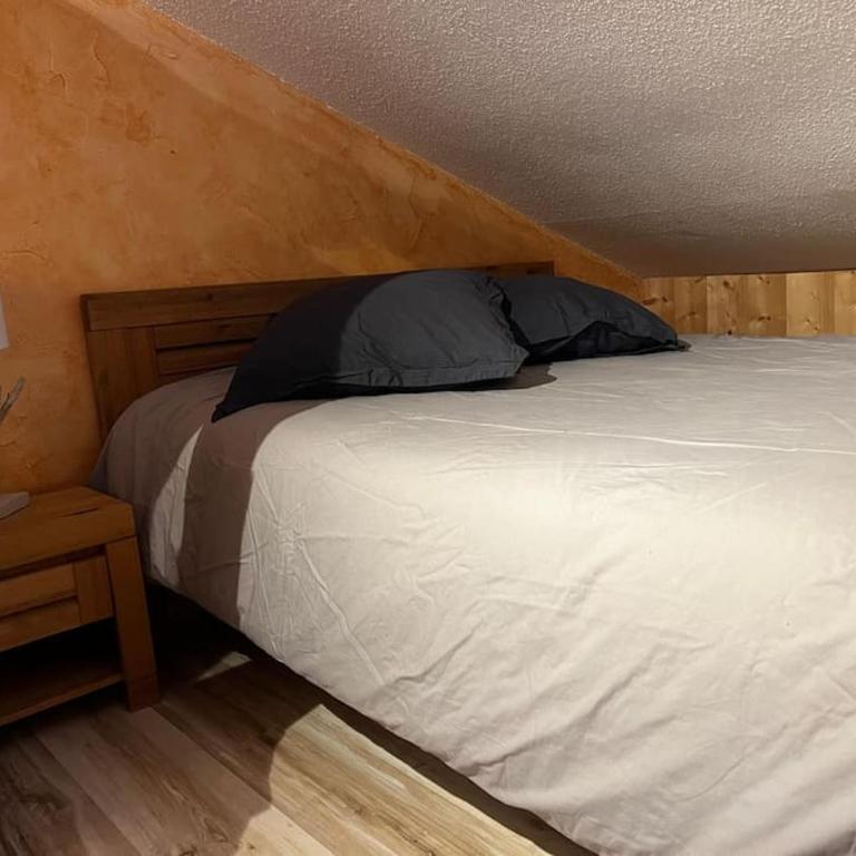 Appartement cosy proche Châtel Portes du soleil - linge inclus - Apartamento de 2 dormitorios - 9