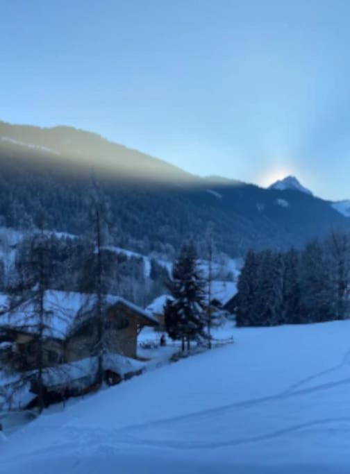 Appartement cosy proche Châtel Portes du soleil - linge inclus - Apartamento de 2 dormitorios - 13