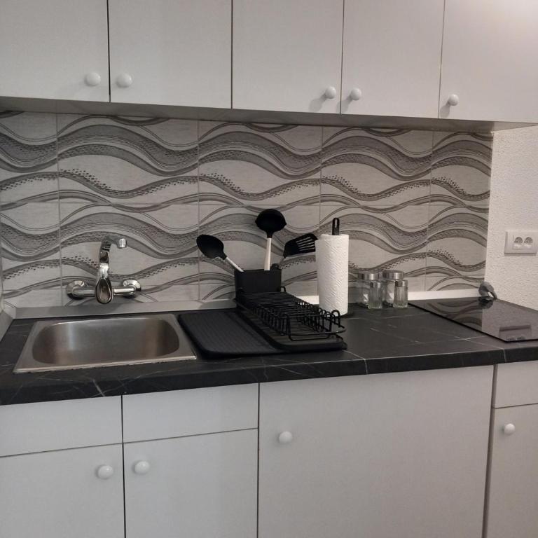 Studio Djurdjica - Apartman sa 1 Spavaćom Sobom - 14