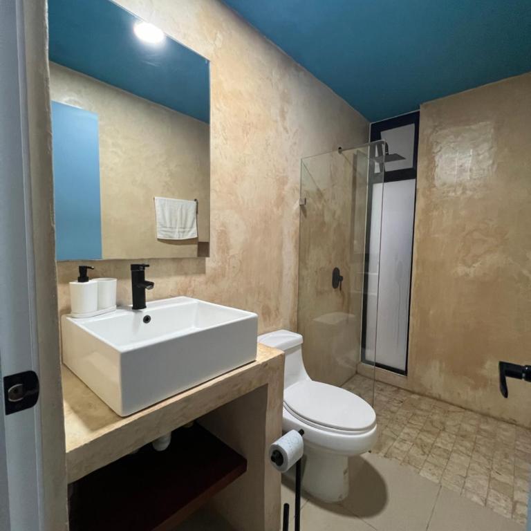 Casa Ik 6 min AirPort 8 min Dowtown - Casa de 2 dormitorios - 10