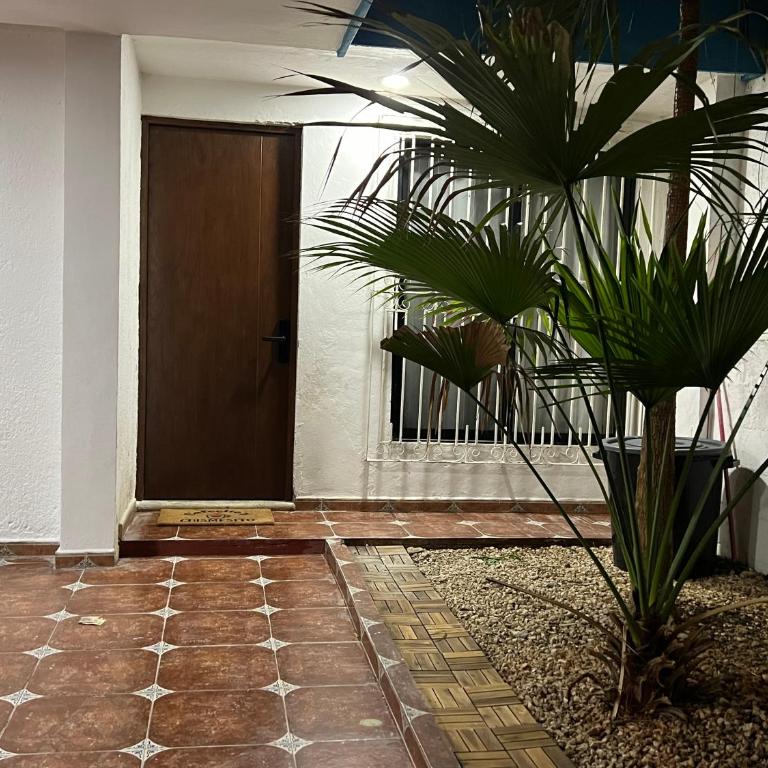Casa Ik 6 min AirPort 8 min Dowtown - Casa de 2 dormitorios - 23