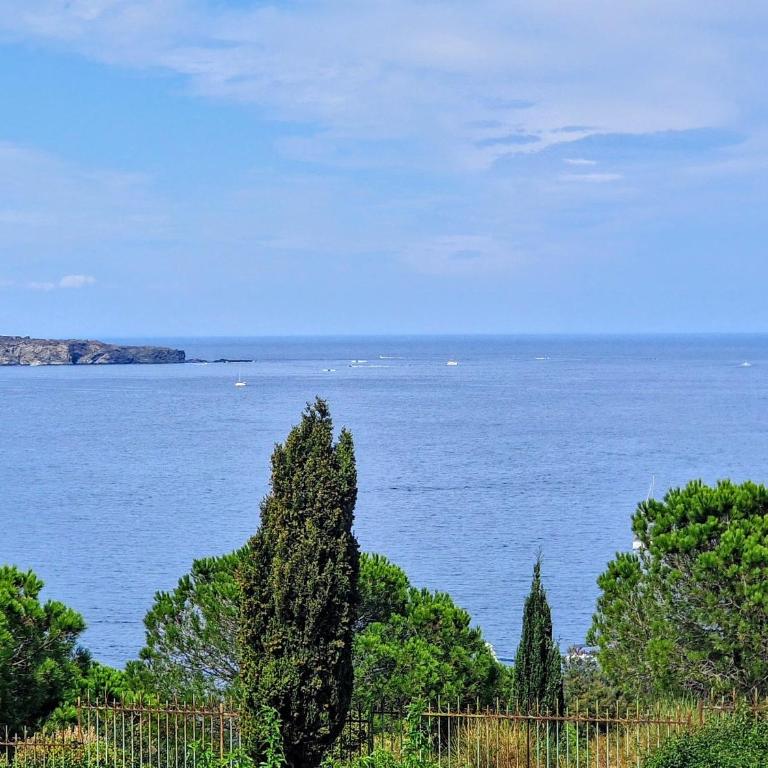 Charmant studio avec terrasse et parking à Banyuls-sur-Mer - FR-1-309-90 - Monolocale - 1