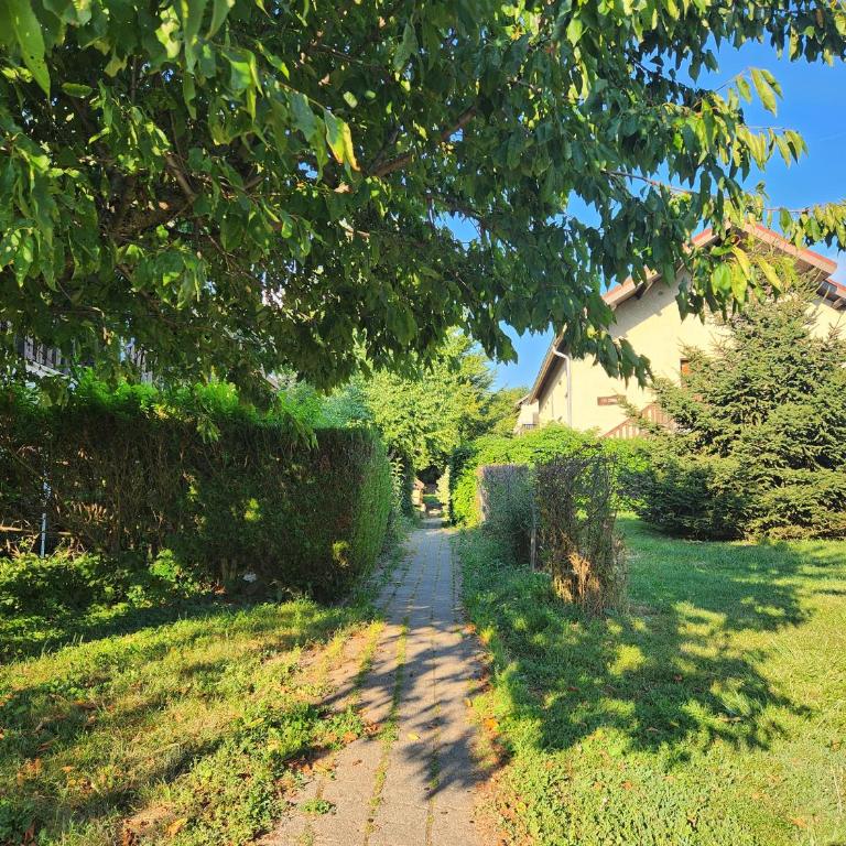 appartement T3 avec jardin proche village - Appartement 2 Chambres - 60