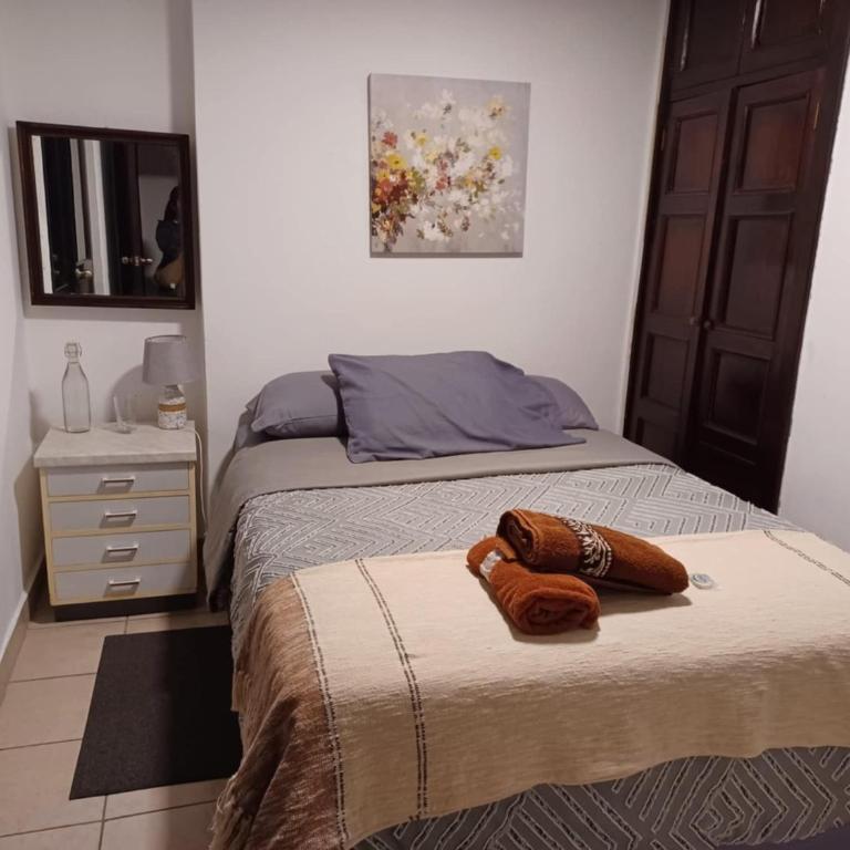 Hostel Mochiliers Bed and Breakfast - Habitación Doble con baño privado - 16