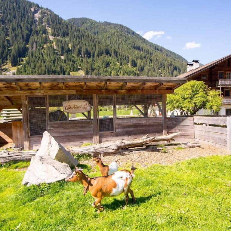 Aussermahrhof - familyfarm - Appartamento con 2 Camere da Letto - 42