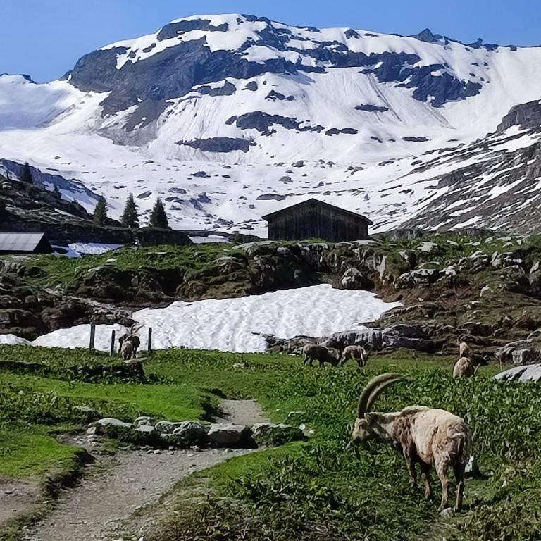 Le Refuge des Trolls - Appartement 1 Chambre - 23