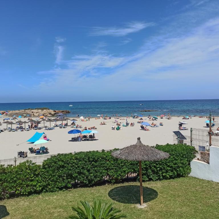 Apartamento en la playa de Cala Capitán -Cabo Roig- Orihuela Costa - Apartment mit 1 Schlafzimmer - 24