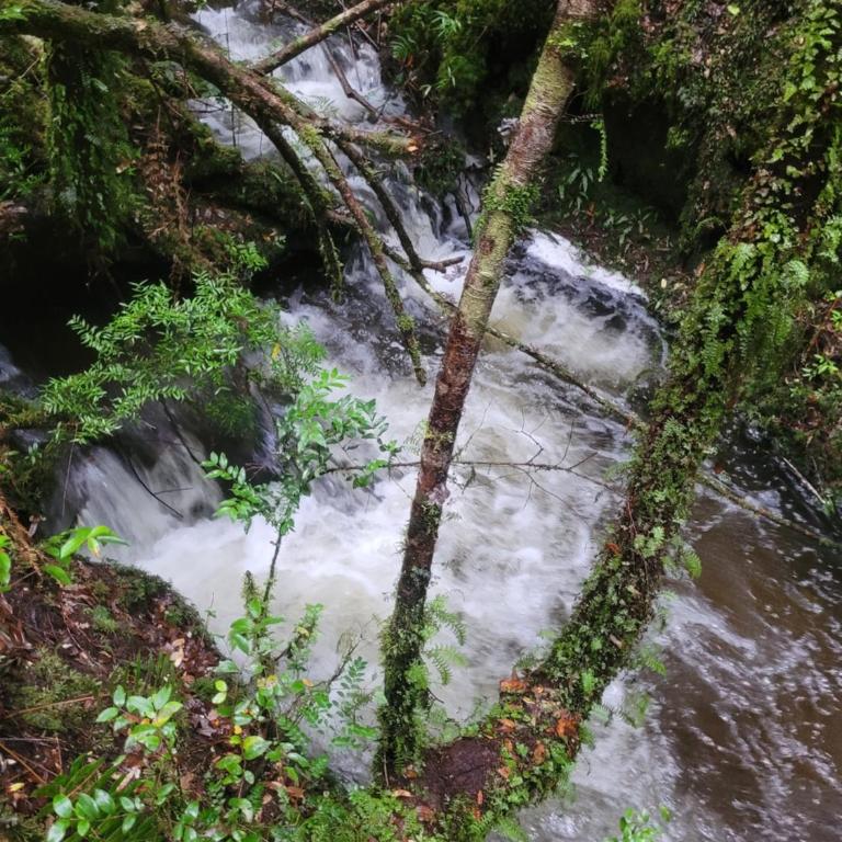 Cabañas el Farolito - Apartamento de 2 dormitorios - 43