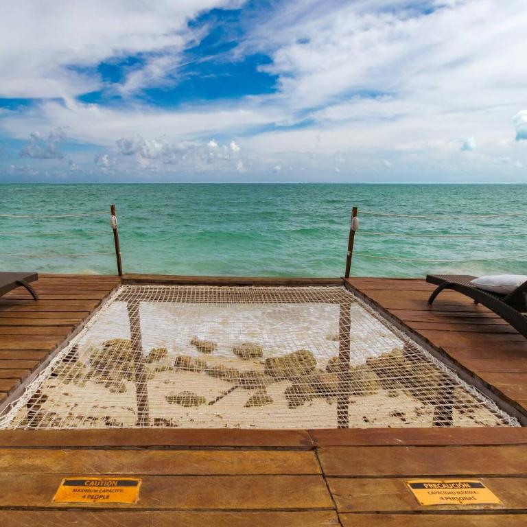 Perfect Beach Location For Families And Weddings - Villa - 49