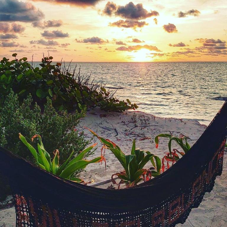 Perfect Beach Location For Families And Weddings - Villa - 89