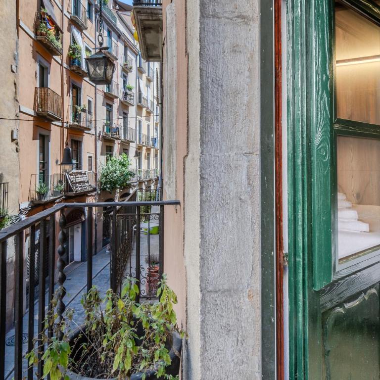 Flateli Ballesteries 15 - Apartamento de 2 dormitorios con vistas al río - 34