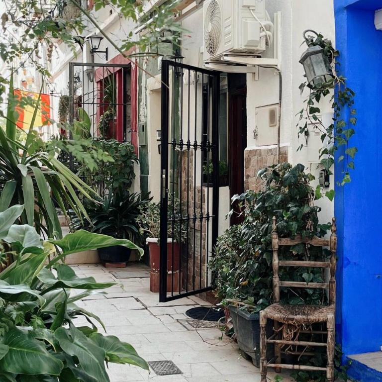 Apartamento en casco antiguo de Alicante - Two-Bedroom Apartment - 18