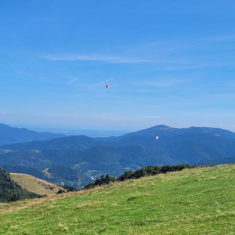 Le Trésor des Vosges Appartement spacieux et lumineux 80m2 - jeux arcades - idéal famille 4 à 6 personnes - Appartement 2 Chambres - 62
