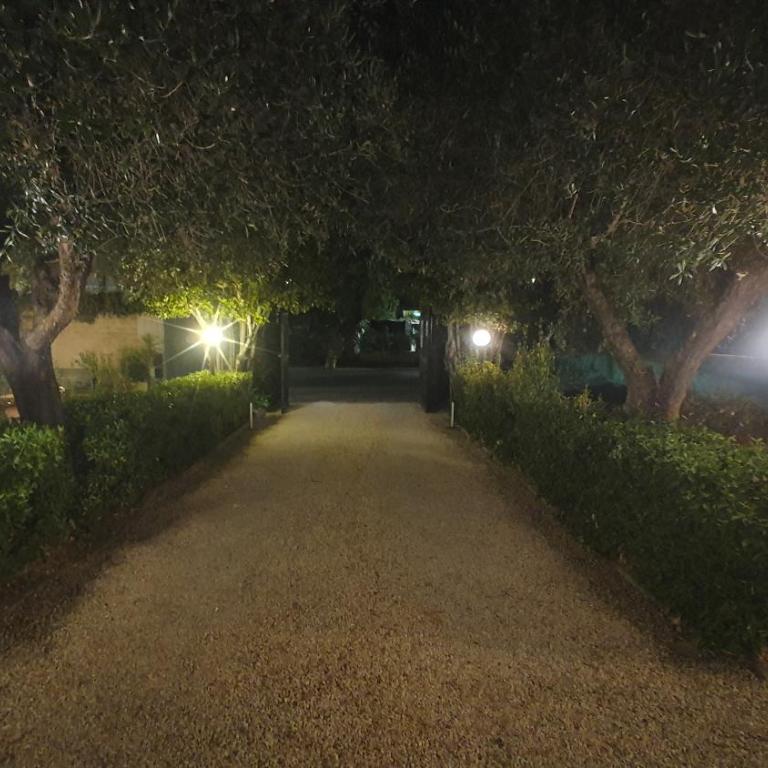 Lilli Home - Urban Garden - Appartement 1 Chambre - 50
