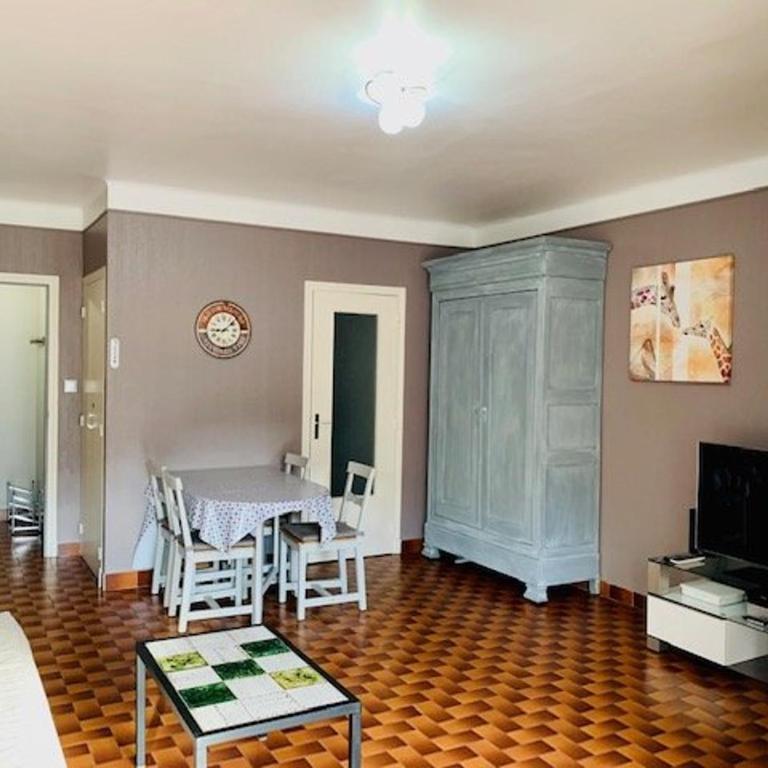 Appartement F2 Climatisé avec Wifi à Amélie-les-Bains - Apartamento de 1 dormitorio - 7