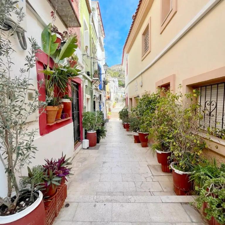 Apartamento en casco antiguo de Alicante - Two-Bedroom Apartment - 23