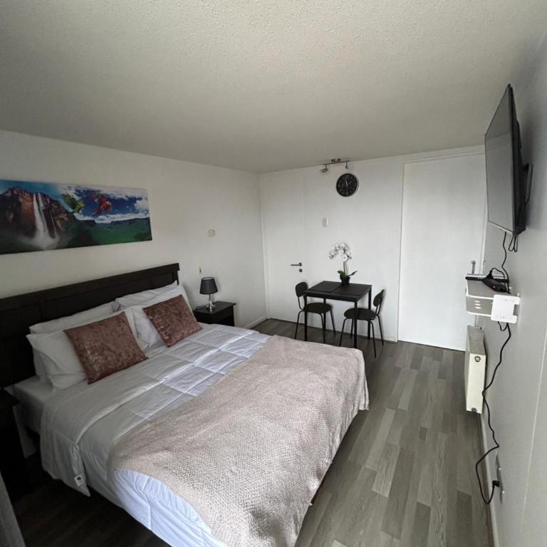 Apart Salto Angel - One-Bedroom Apartment - 3