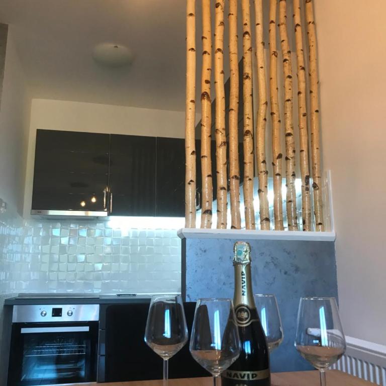 Apartman Sanja - Apartman sa 1 Spavaćom Sobom - 6