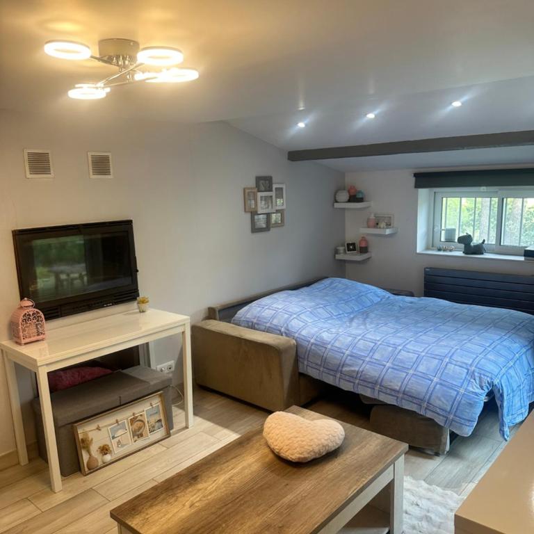 Maison en pierre, 3 chambres à 15 mn du centre de Menton et des plages - Maison 3 Chambres - 50