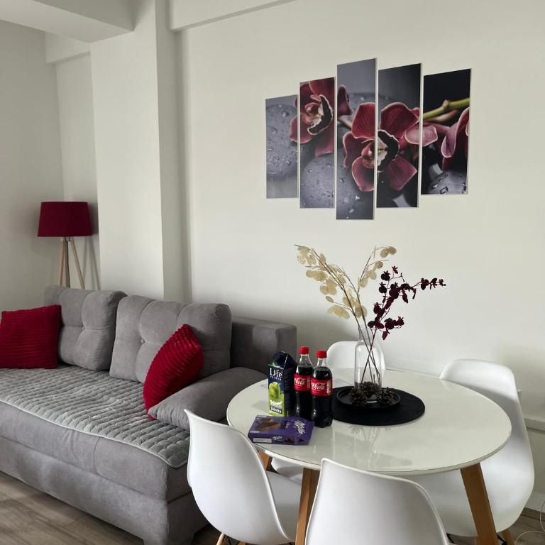 R Lux Apartman Jagodina Akva Park - Apartman sa 1 Spavaćom Sobom - 23