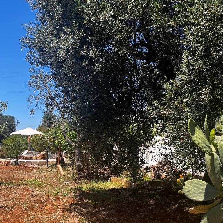 Trullo Teresa - One-Bedroom House - 58