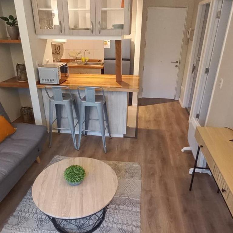 Departamento cercano al Volcan y Centro de Pucon - One-Bedroom Apartment - 11
