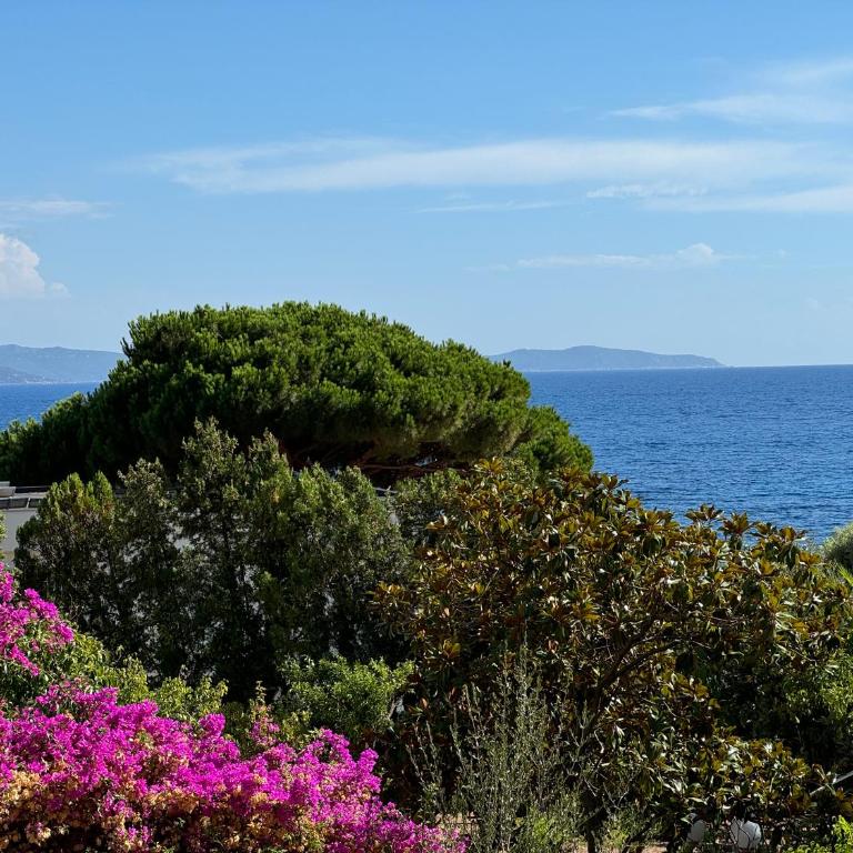 Ajaccio appartement 4 couchages, climatisé a 150m de la plage route des sanguinaires, parking privé - Apartment mit 2 Schlafzimmern - 13