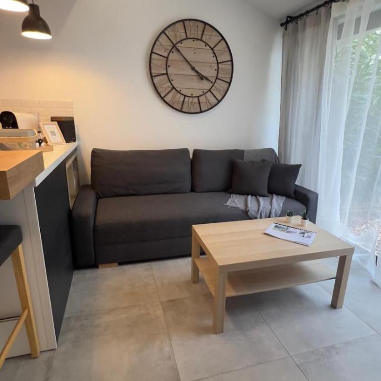 Cocon Classé 3 Etoiles - Love et Détente - SPA - Villa 1 Chambre - 27