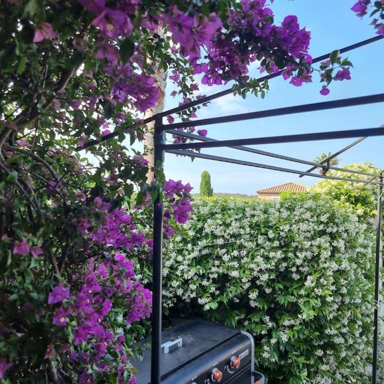 Un petit coin de paradis à Sanary sur mer - Two-Bedroom Apartment - 12