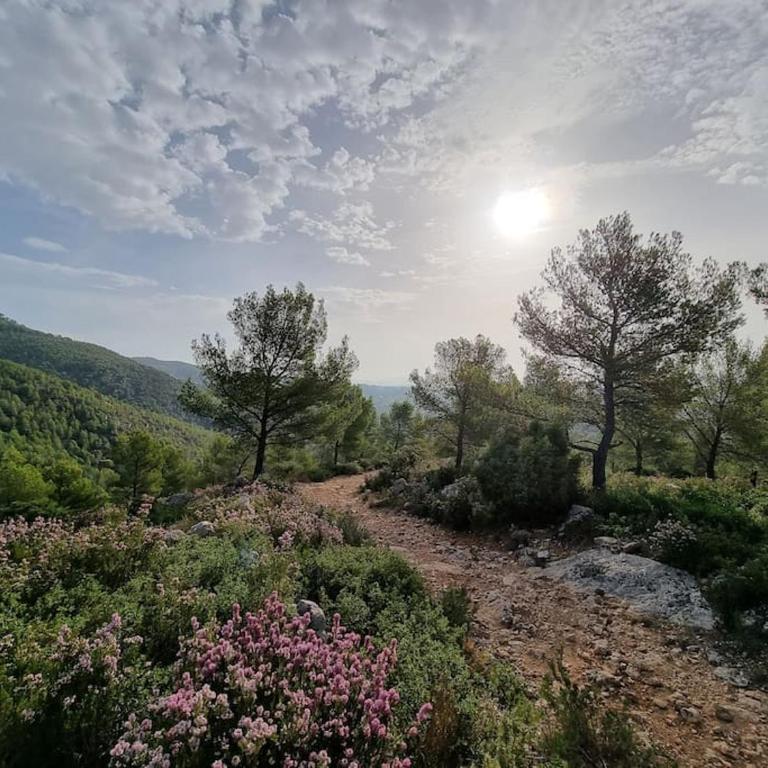 Un petit coin de paradis à Sanary sur mer - Two-Bedroom Apartment - 27