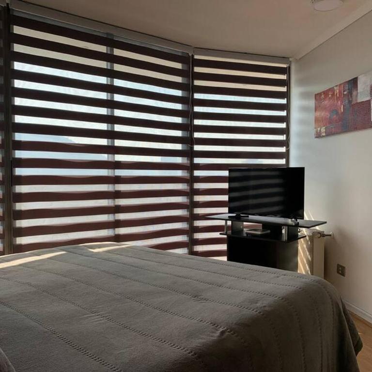 Depto excelente ubicación y hermosa vista con aire acondicionado Mac10 - Apartamento de 1 dormitorio - 15