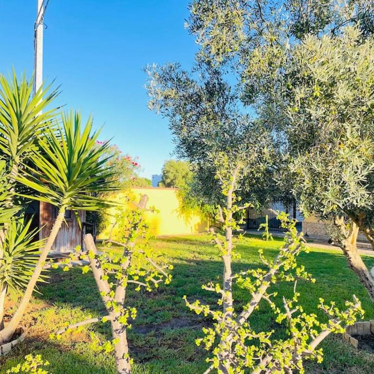 La Almadraba - Villa con piscina privada - 21
