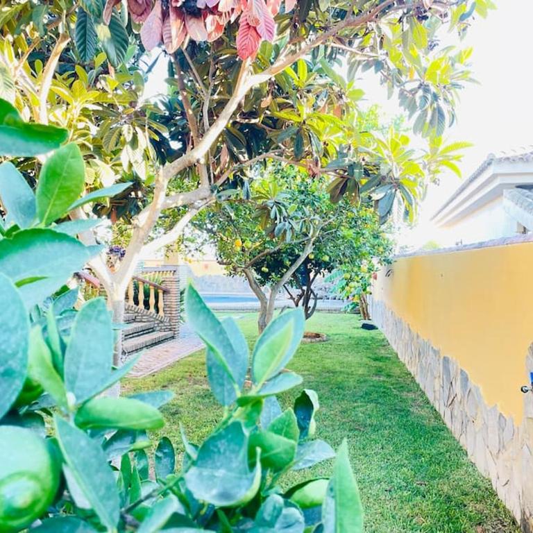 La Almadraba - Villa con piscina privada - 29