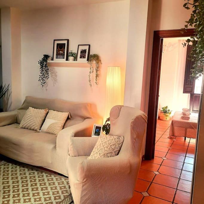 Alhambra Catedral Centro - Two-Bedroom Apartment - 9
