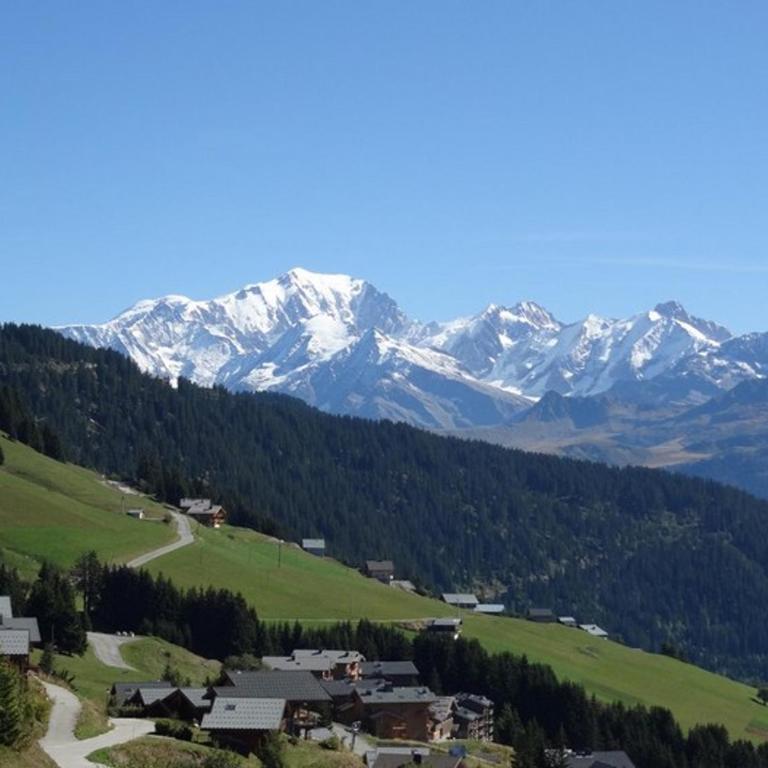 Superbe appartement 57m², 4 pers, parking, piscine - Les Saisies - Appartement 2 Chambres - 12