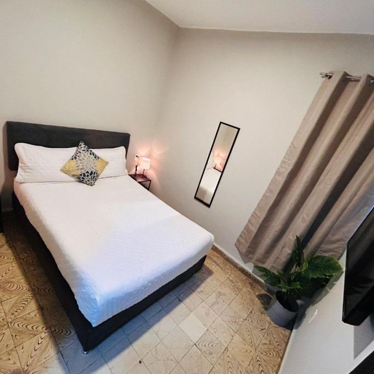 Singular Centro Histórico - Habitación Doble con baño privado externo - 1