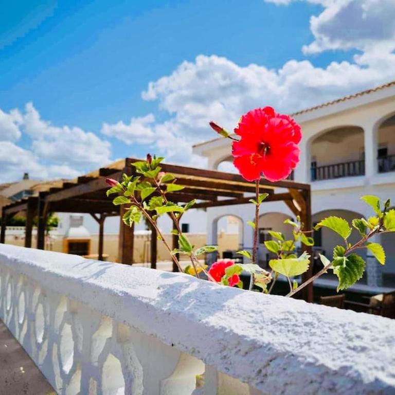 El Riuet-Chalet apartamento a 1 minuto de la playa, Cullera - Two-Bedroom Apartment - 17