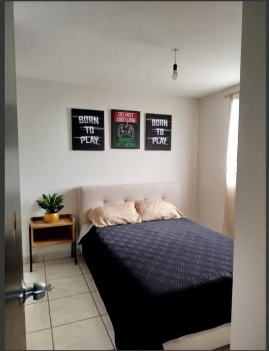 Alojamiento entero - Two-Bedroom Apartment - 12